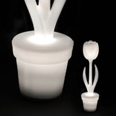 Tulip - lampada - design